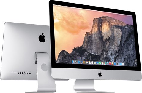 Retina